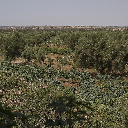 Ryad De Vignes " Le Val D'Argan " Ounara Екстериор снимка