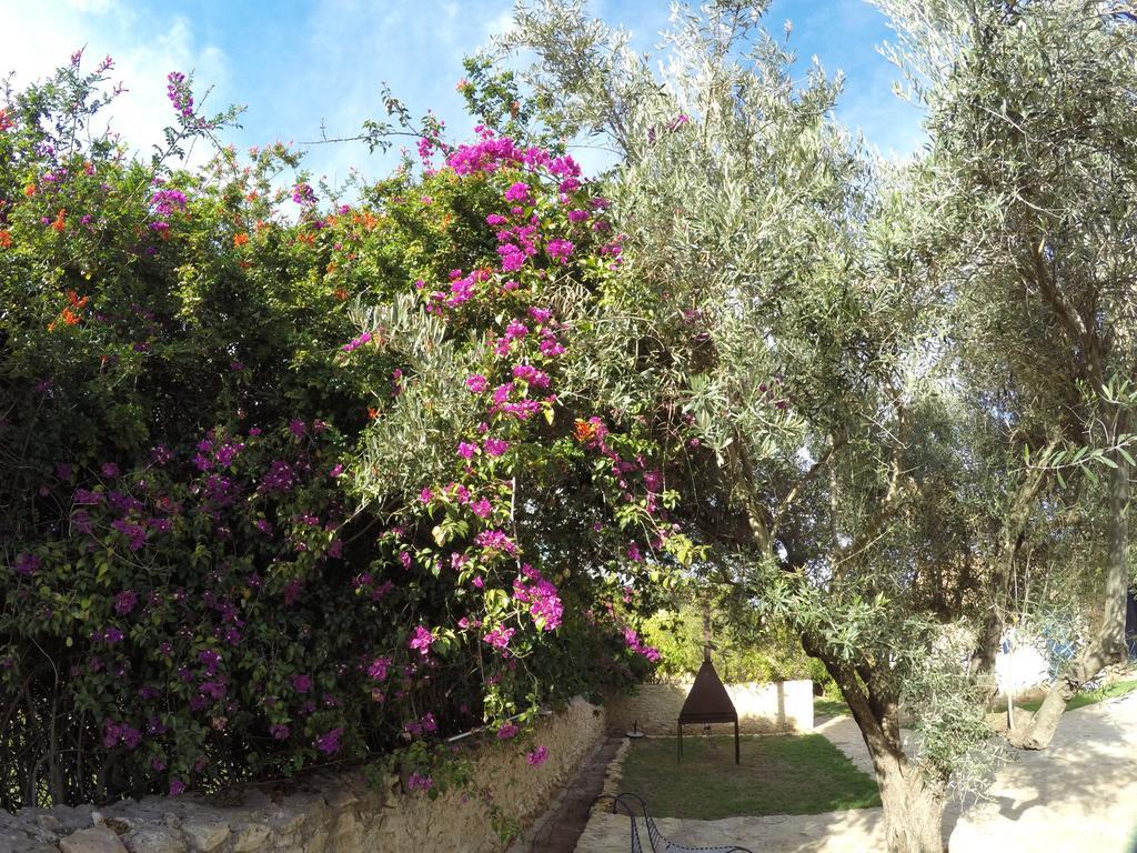 Ryad De Vignes " Le Val D'Argan " Ounara Екстериор снимка