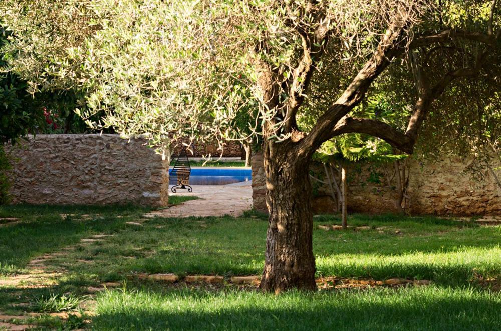 Ryad De Vignes " Le Val D'Argan " Ounara Екстериор снимка
