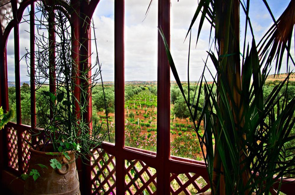 Ryad De Vignes " Le Val D'Argan " Ounara Екстериор снимка