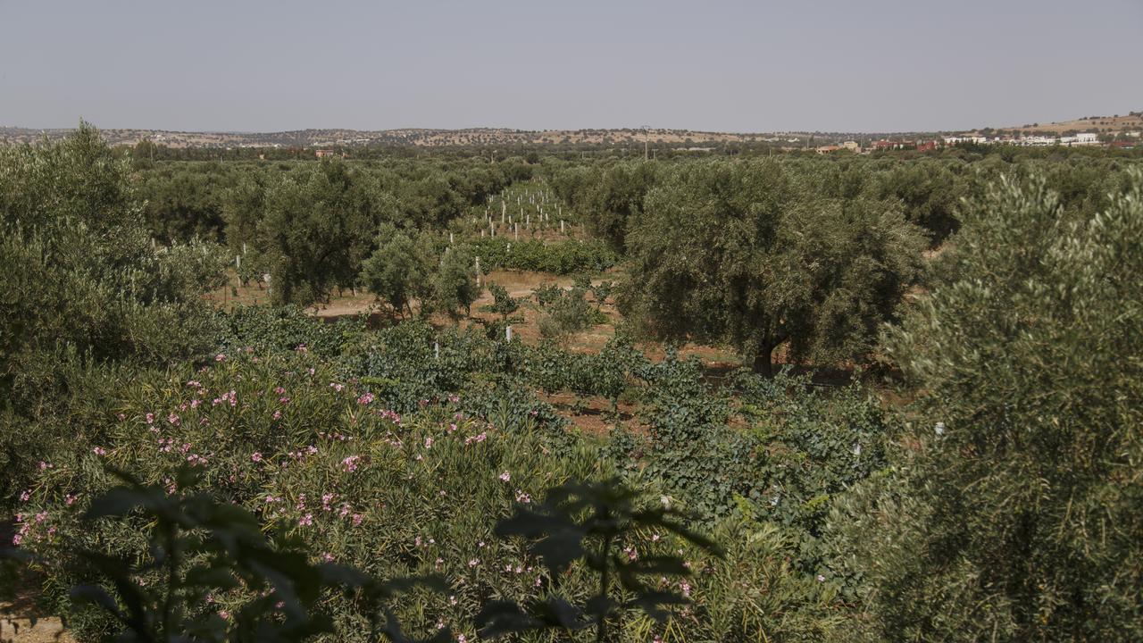 Ryad De Vignes " Le Val D'Argan " Ounara Екстериор снимка